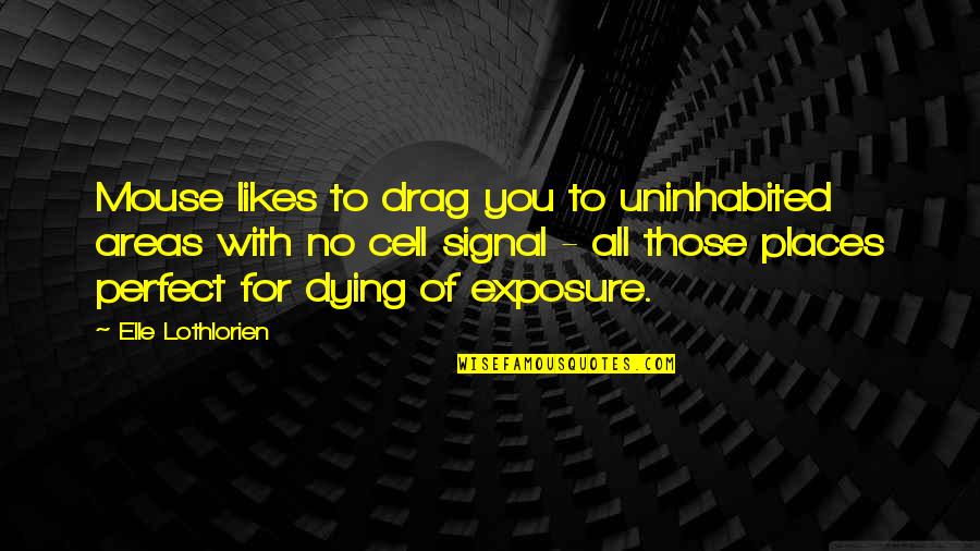 Committers Quotes By Elle Lothlorien: Mouse likes to drag you to uninhabited areas Committers Quotes By Elle Lothlorien: Mouse likes to drag you to uninhabited areas