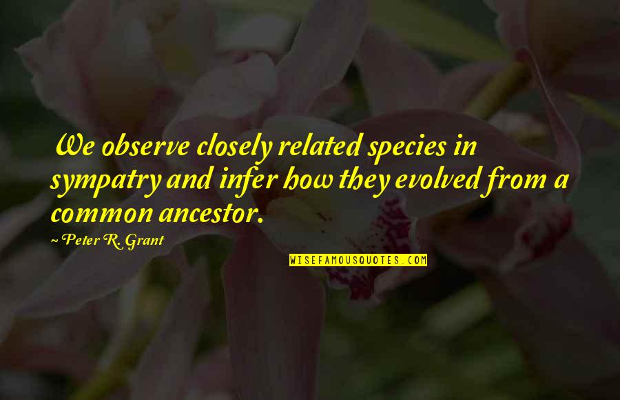 Common Ancestor Quotes By Peter R. Grant: We observe closely related species in sympatry and