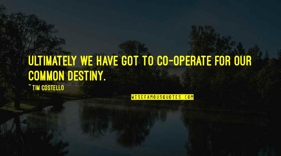 Common Destiny Quotes By Tim Costello: Ultimately we have got to co-operate for our