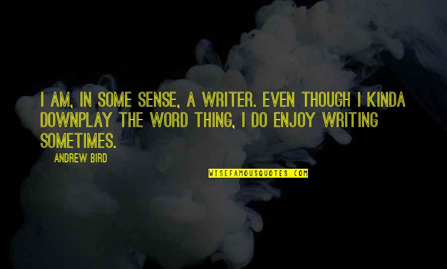 Common Enemies Quotes By Andrew Bird: I am, in some sense, a writer. Even