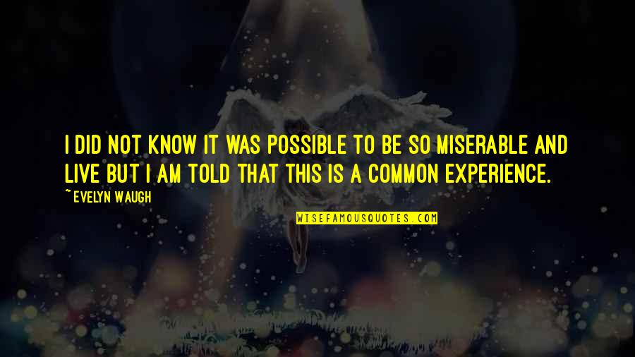 Common Experience Quotes By Evelyn Waugh: I did not know it was possible to Common Experience Quotes By Evelyn Waugh: I did not know it was possible to