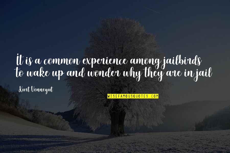 Common Experience Quotes By Kurt Vonnegut: It is a common experience among jailbirds to