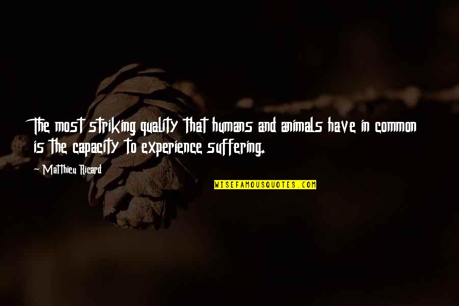 Common Experience Quotes By Matthieu Ricard: The most striking quality that humans and animals