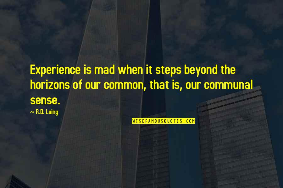 Common Experience Quotes By R.D. Laing: Experience is mad when it steps beyond the