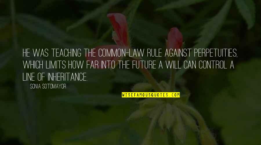 Common Law Quotes By Sonia Sotomayor: He was teaching the common-law rule against perpetuities,