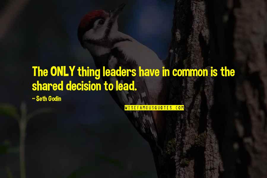Common Motivational Quotes By Seth Godin: The ONLY thing leaders have in common is