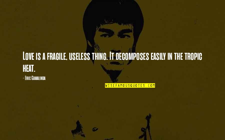 Common Paris Quotes By Eric Gamalinda: Love is a fragile, useless thing. It decomposes