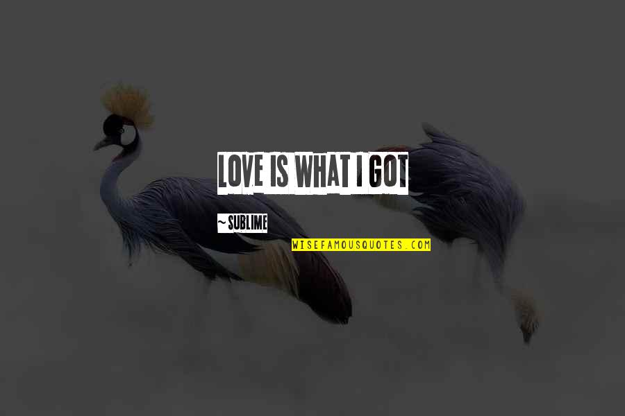 Common Sense 1776 Quotes By Sublime: Love Is What I Got Common Sense 1776 Quotes By Sublime: Love Is What I Got