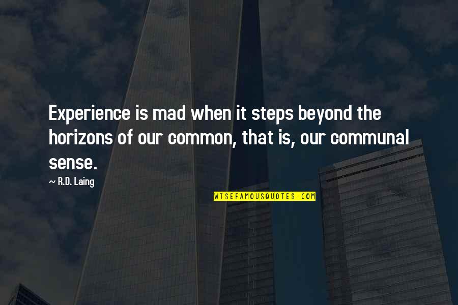 Common Sense Quotes By R.D. Laing: Experience is mad when it steps beyond the