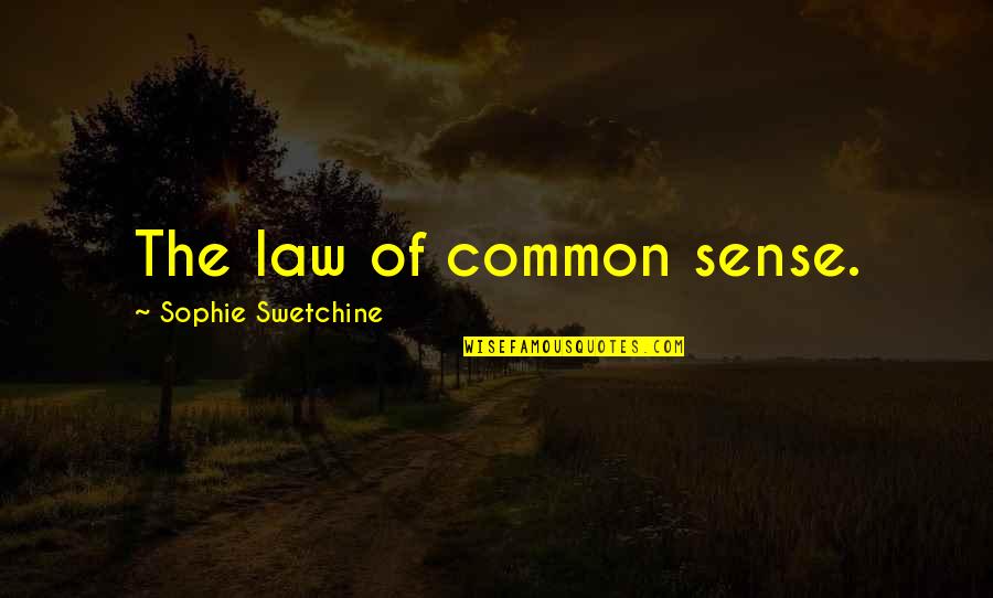 Common Sense Quotes By Sophie Swetchine: The law of common sense.