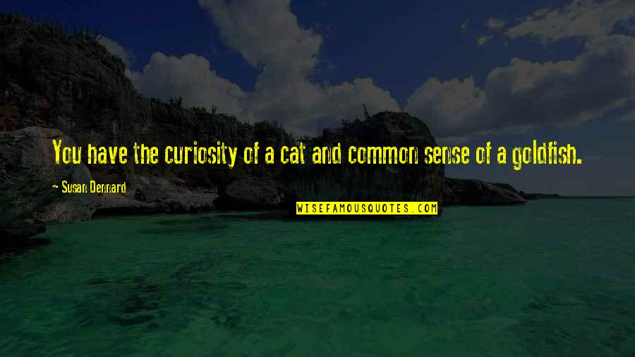 Common Sense Quotes By Susan Dennard: You have the curiosity of a cat and