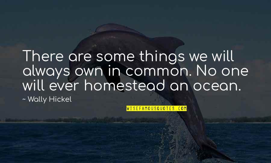 Common Things Quotes By Wally Hickel: There are some things we will always own