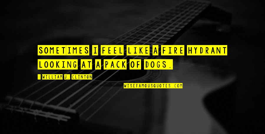 Commonplaces Quotes By William J. Clinton: Sometimes I feel like a fire hydrant looking Commonplaces Quotes By William J. Clinton: Sometimes I feel like a fire hydrant looking