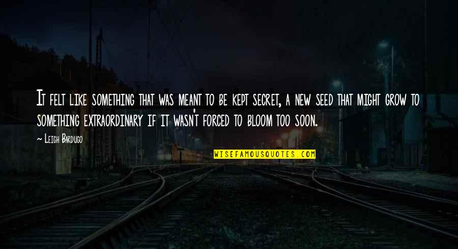 Communicating Clearly Quotes By Leigh Bardugo: It felt like something that was meant to Communicating Clearly Quotes By Leigh Bardugo: It felt like something that was meant to