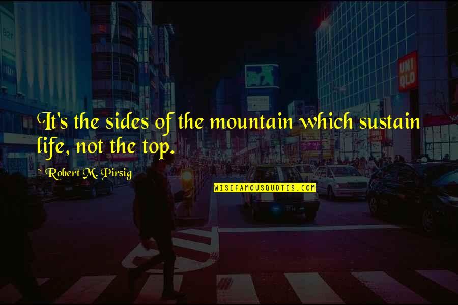 Communicating In Business Quotes By Robert M. Pirsig: It's the sides of the mountain which sustain