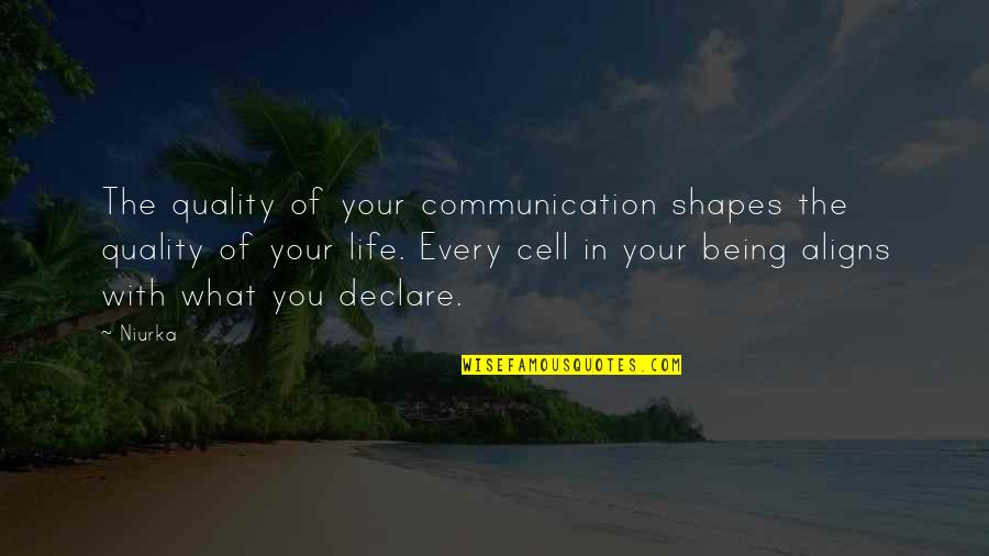 Communication Inspirational Quotes By Niurka: The quality of your communication shapes the quality