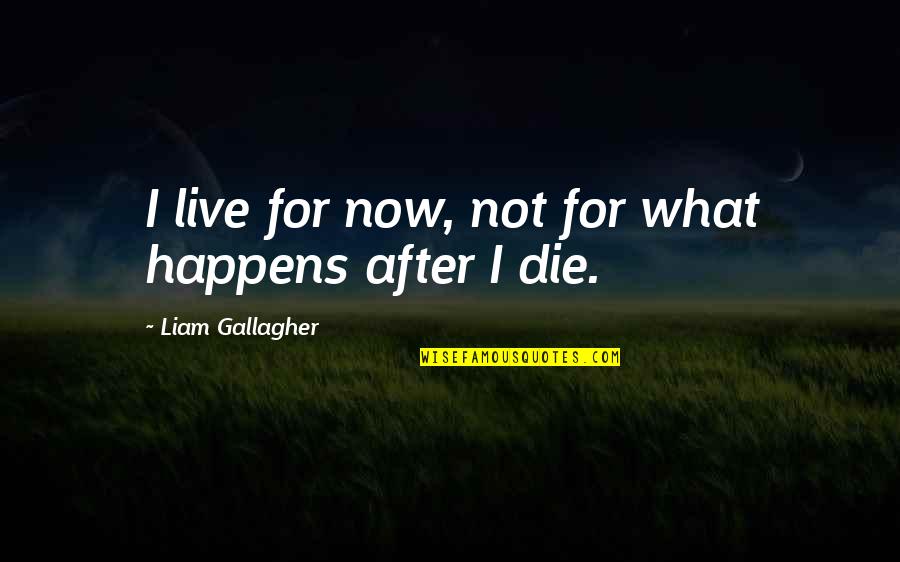 Communicationally Quotes By Liam Gallagher: I live for now, not for what happens