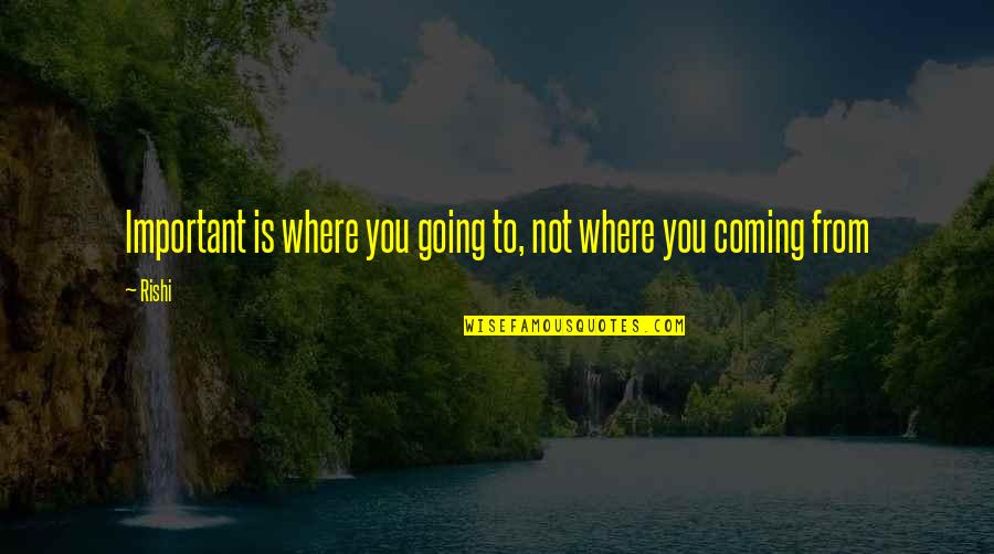 Communings Quotes By Rishi: Important is where you going to, not where