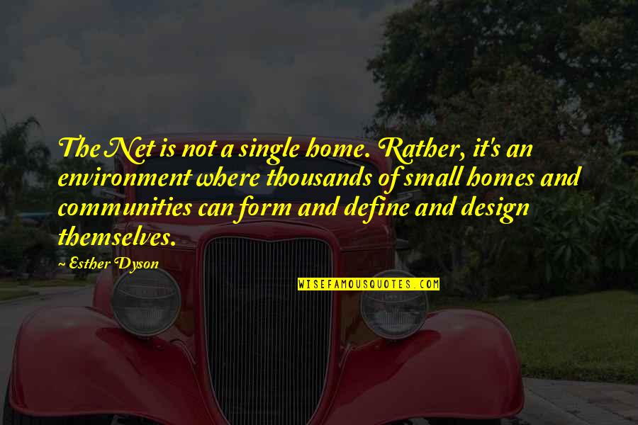 Community And Environment Quotes By Esther Dyson: The Net is not a single home. Rather,