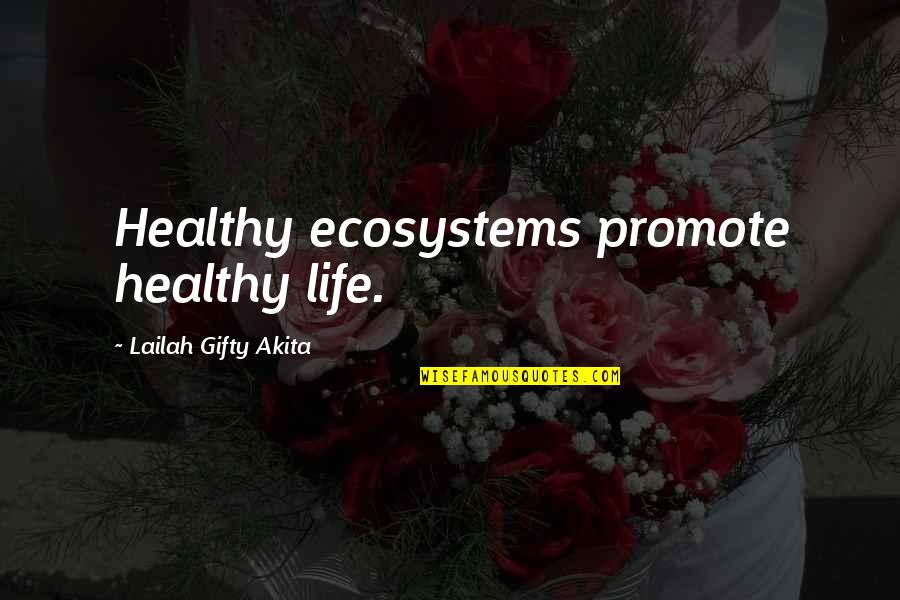 Community And Environment Quotes By Lailah Gifty Akita: Healthy ecosystems promote healthy life.
