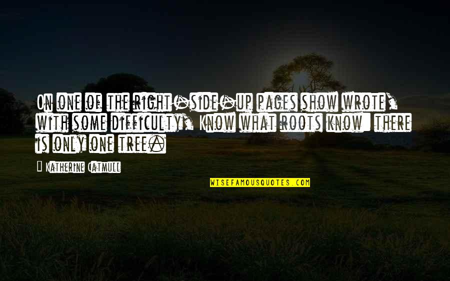 Community Spirit Quotes By Katherine Catmull: On one of the right-side-up pages show wrote,