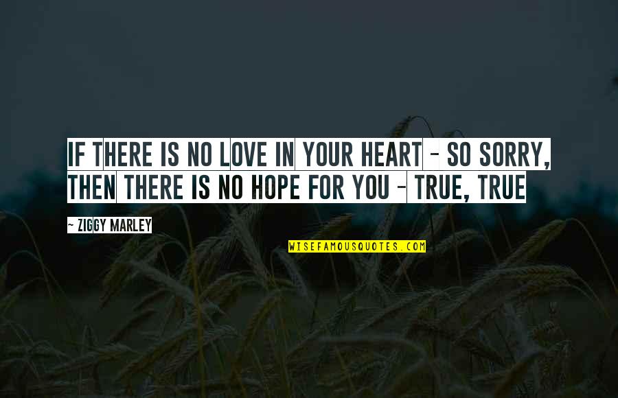 Comng Quotes By Ziggy Marley: If there is no love in your heart