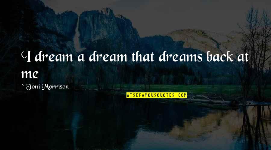 Comotto Tide Quotes By Toni Morrison: I dream a dream that dreams back at