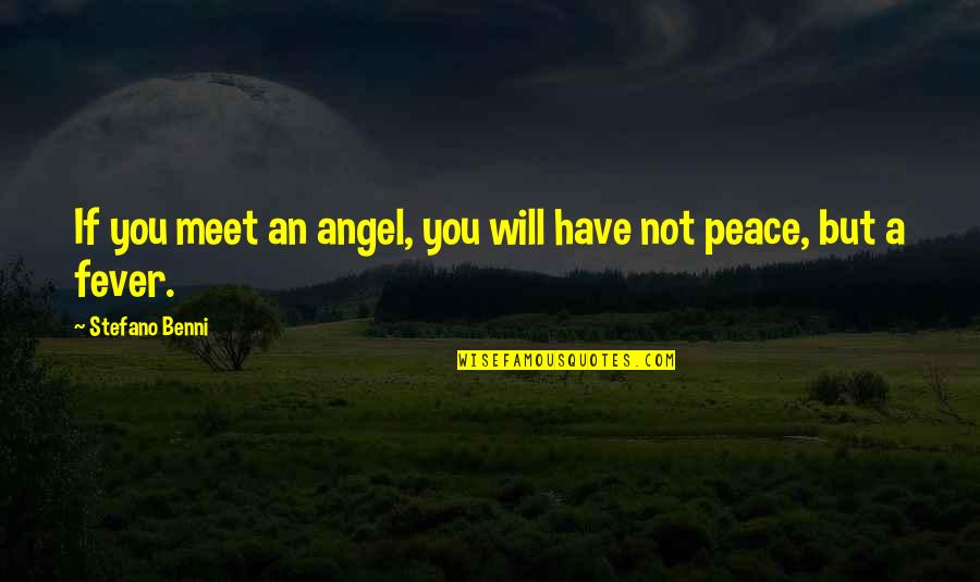 Compagno Fox Quotes By Stefano Benni: If you meet an angel, you will have
