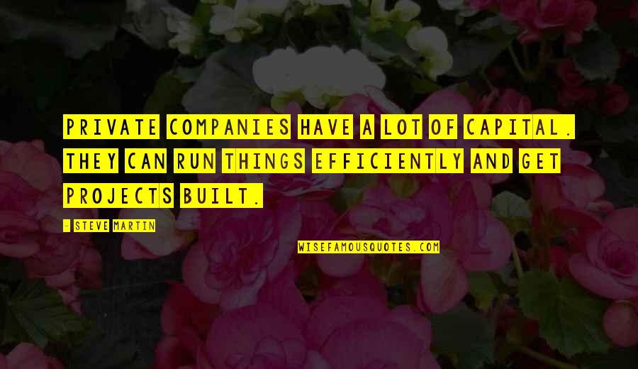 Companies Quotes By Steve Martin: Private companies have a lot of capital. They