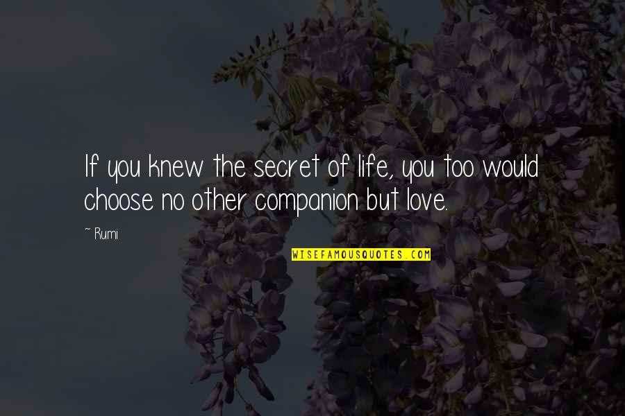 Companion In Life Quotes By Rumi: If you knew the secret of life, you