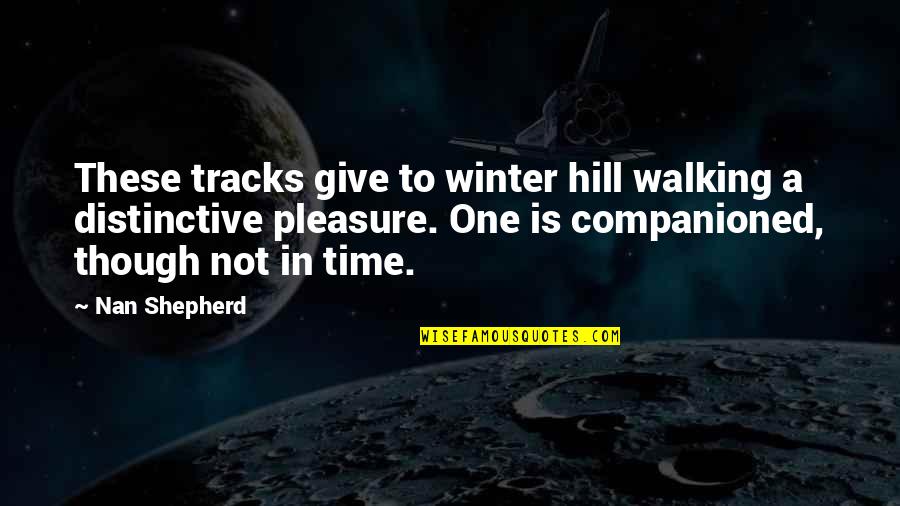 Companioned Quotes By Nan Shepherd: These tracks give to winter hill walking a
