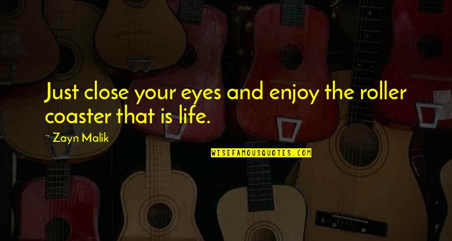 Company 15th Anniversary Quotes By Zayn Malik: Just close your eyes and enjoy the roller