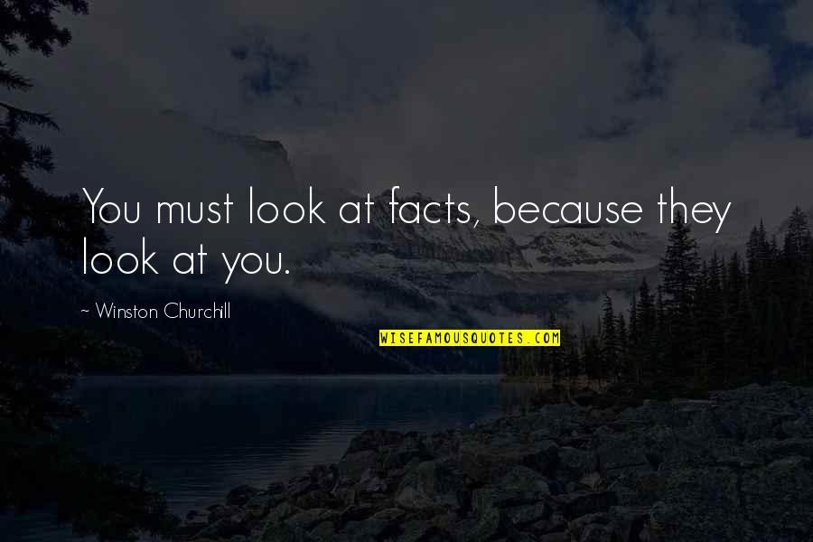 Company Aytch Quotes By Winston Churchill: You must look at facts, because they look Company Aytch Quotes By Winston Churchill: You must look at facts, because they look