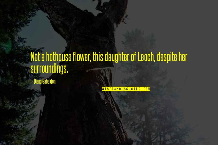 Company Heroes Wehrmacht Quotes By Diana Gabaldon: Not a hothouse flower, this daughter of Leoch,