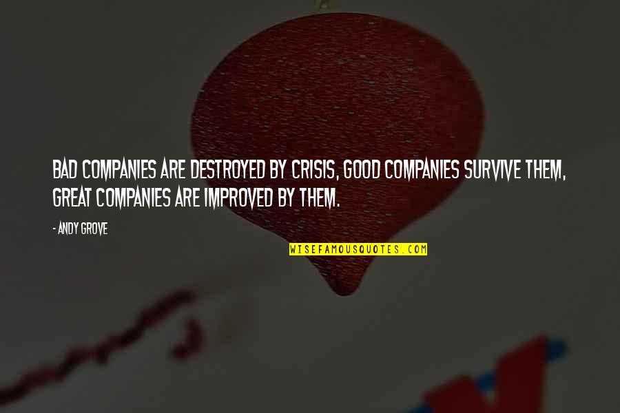 Company Quotes By Andy Grove: Bad companies are destroyed by crisis, Good companies