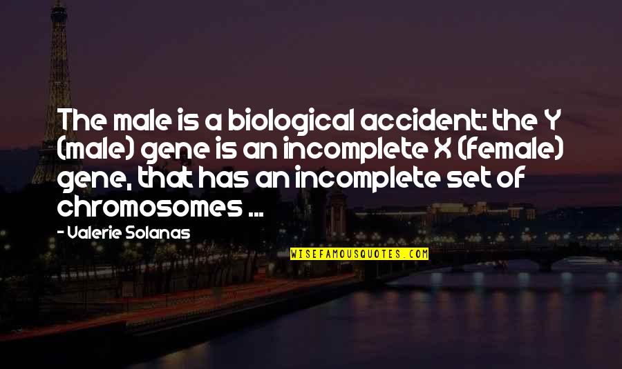 Compare Cheap Travel Insurance Quotes By Valerie Solanas: The male is a biological accident: the Y Compare Cheap Travel Insurance Quotes By Valerie Solanas: The male is a biological accident: the Y