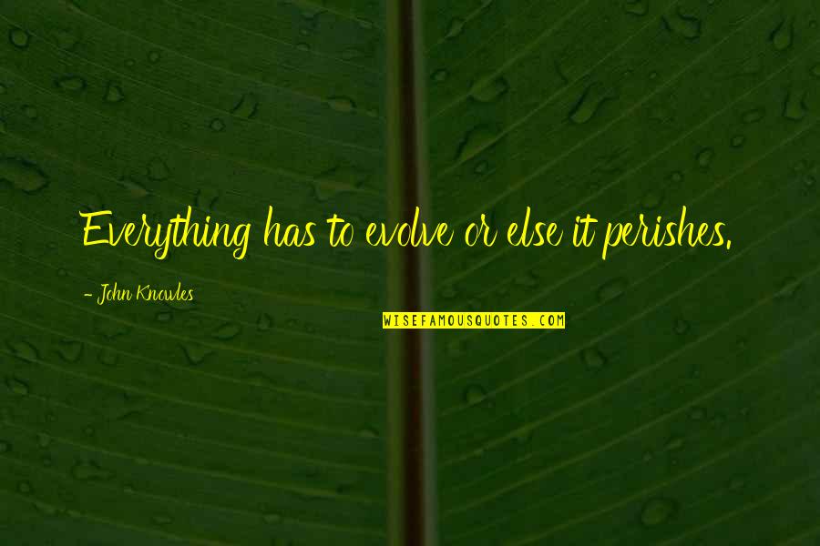 Compare Pension Quotes By John Knowles: Everything has to evolve or else it perishes.