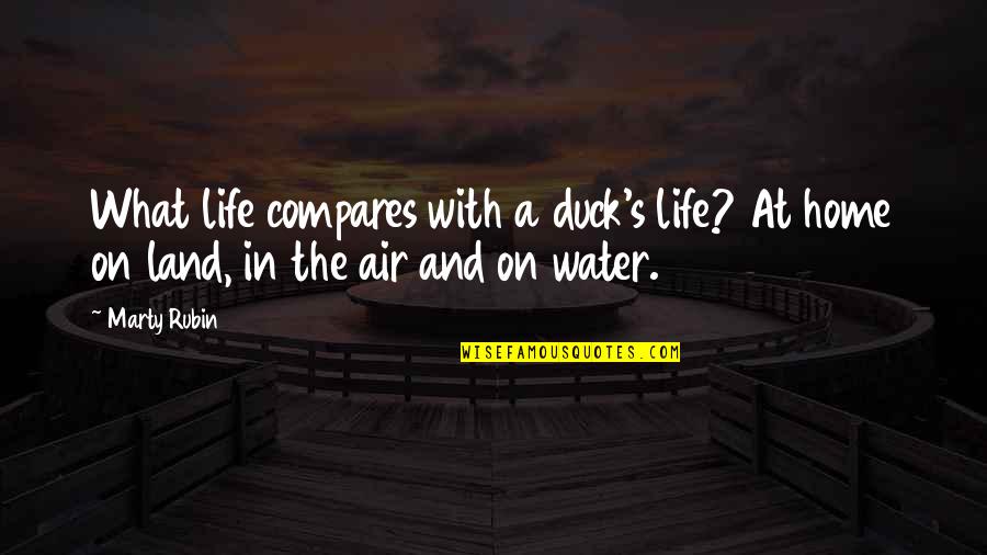 Compares Quotes By Marty Rubin: What life compares with a duck's life? At