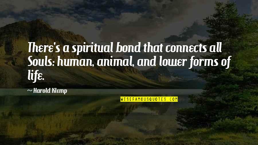 Comparing Friends Quotes By Harold Klemp: There's a spiritual bond that connects all Souls: