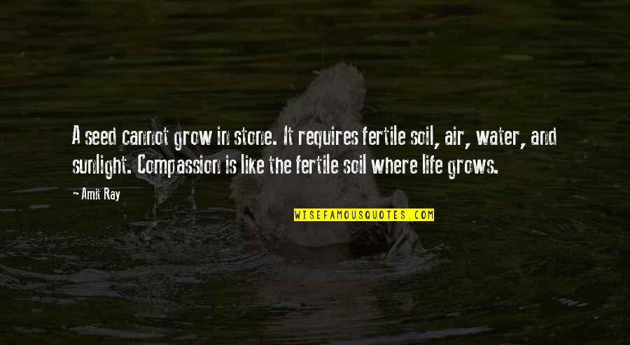 Compassion And Life Quotes By Amit Ray: A seed cannot grow in stone. It requires