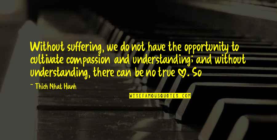 Compassion And Suffering Quotes By Thich Nhat Hanh: Without suffering, we do not have the opportunity