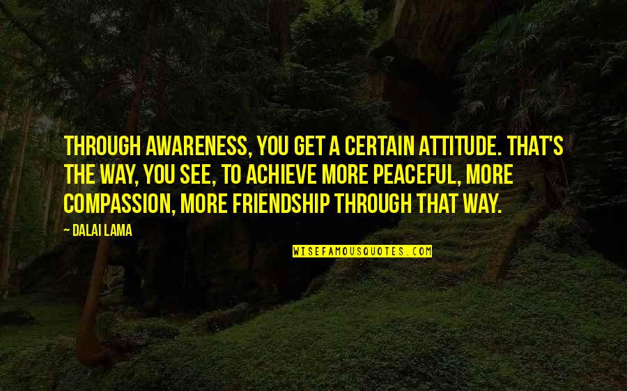 Compassion Dalai Lama Quotes By Dalai Lama: Through awareness, you get a certain attitude. That's