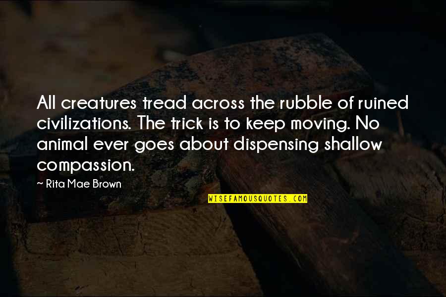 Compassion For Animal Quotes By Rita Mae Brown: All creatures tread across the rubble of ruined Compassion For Animal Quotes By Rita Mae Brown: All creatures tread across the rubble of ruined