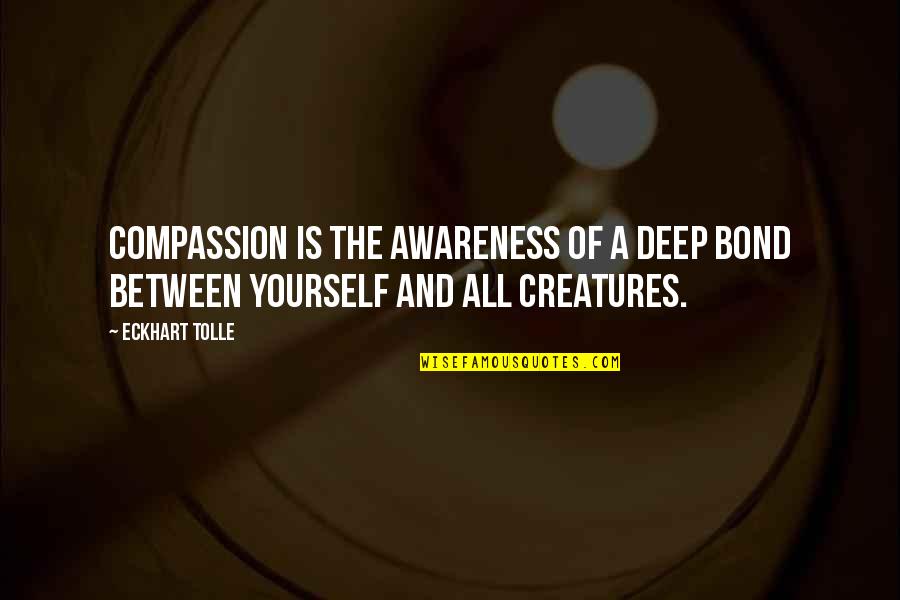 Compassion For Yourself Quotes By Eckhart Tolle: Compassion is the awareness of a deep bond