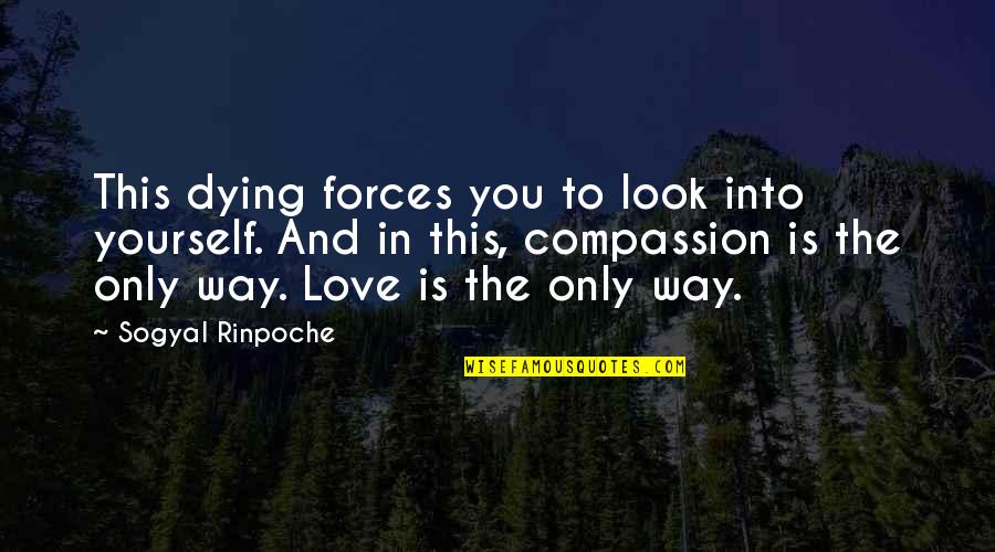 Compassion For Yourself Quotes By Sogyal Rinpoche: This dying forces you to look into yourself.