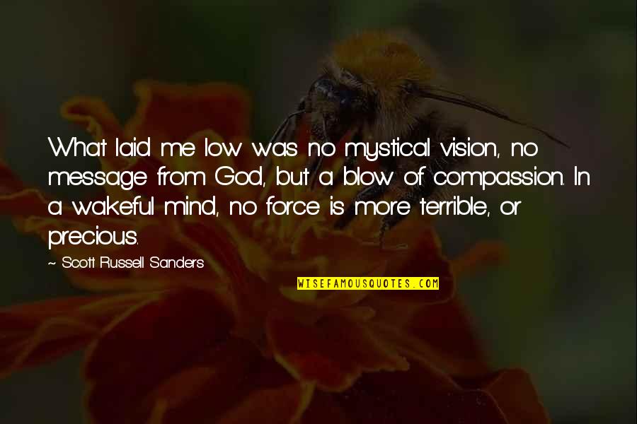 Compassion Of God Quotes By Scott Russell Sanders: What laid me low was no mystical vision, Compassion Of God Quotes By Scott Russell Sanders: What laid me low was no mystical vision,