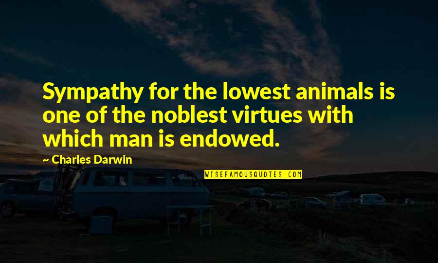 Compassion To Animals Quotes By Charles Darwin: Sympathy for the lowest animals is one of