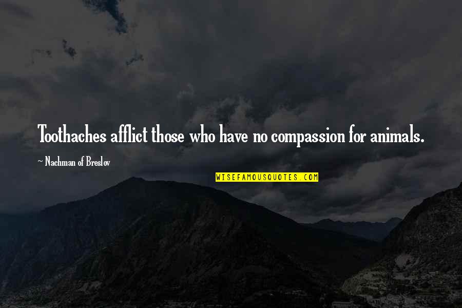 Compassion To Animals Quotes By Nachman Of Breslov: Toothaches afflict those who have no compassion for