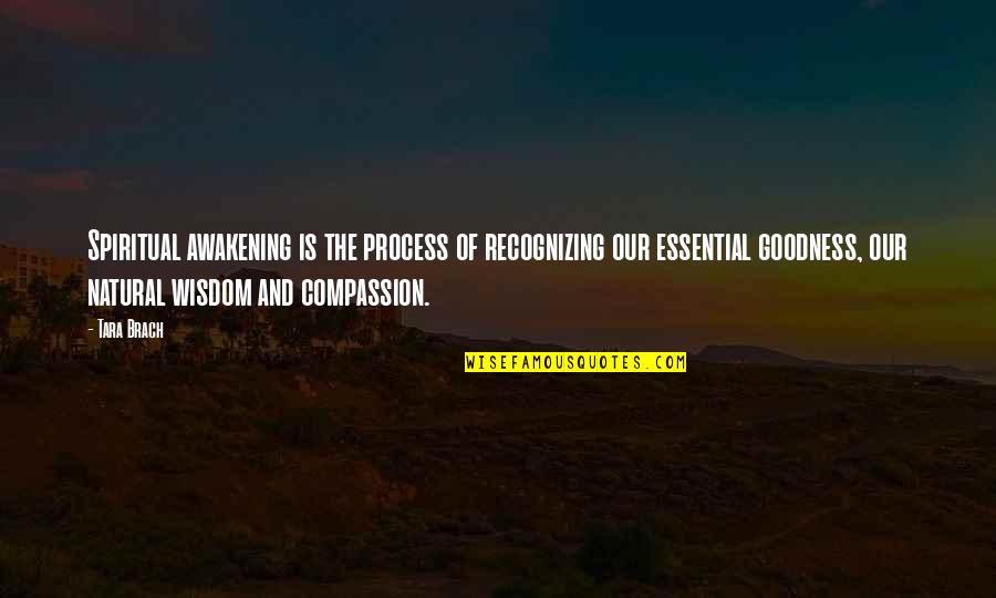 Compassion Wisdom Quotes By Tara Brach: Spiritual awakening is the process of recognizing our Compassion Wisdom Quotes By Tara Brach: Spiritual awakening is the process of recognizing our