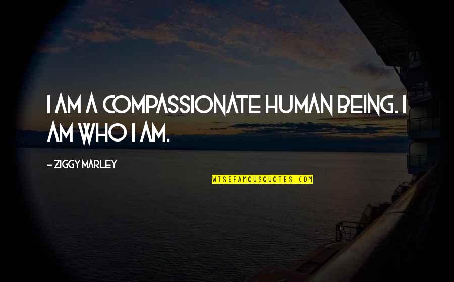 Compassionate Quotes By Ziggy Marley: I am a compassionate human being. I am